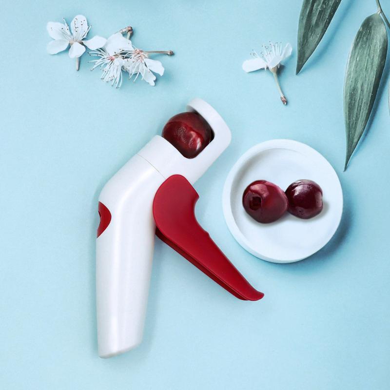 Cherry Red Dates Hawthorn Pitt - Home Improvement Tim ulasan dan harga